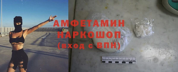 сатива Аркадак