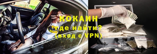 сатива Аркадак