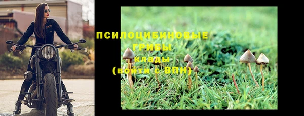 сатива Аркадак