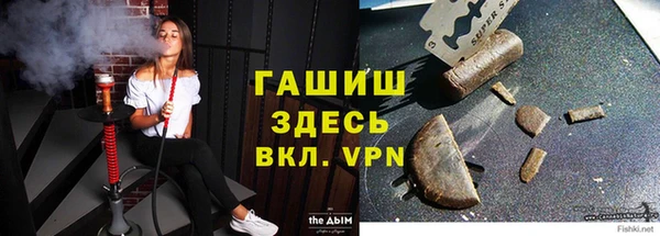 сатива Аркадак